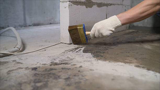 SJ Waterproofing Pros Waterproofing coverage map for Castalian Springs, TN and surrounding area